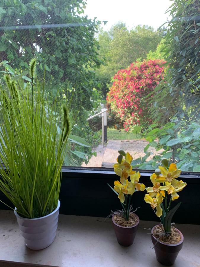 Ferienwohnung Land-Idylle Illingen  外观 照片